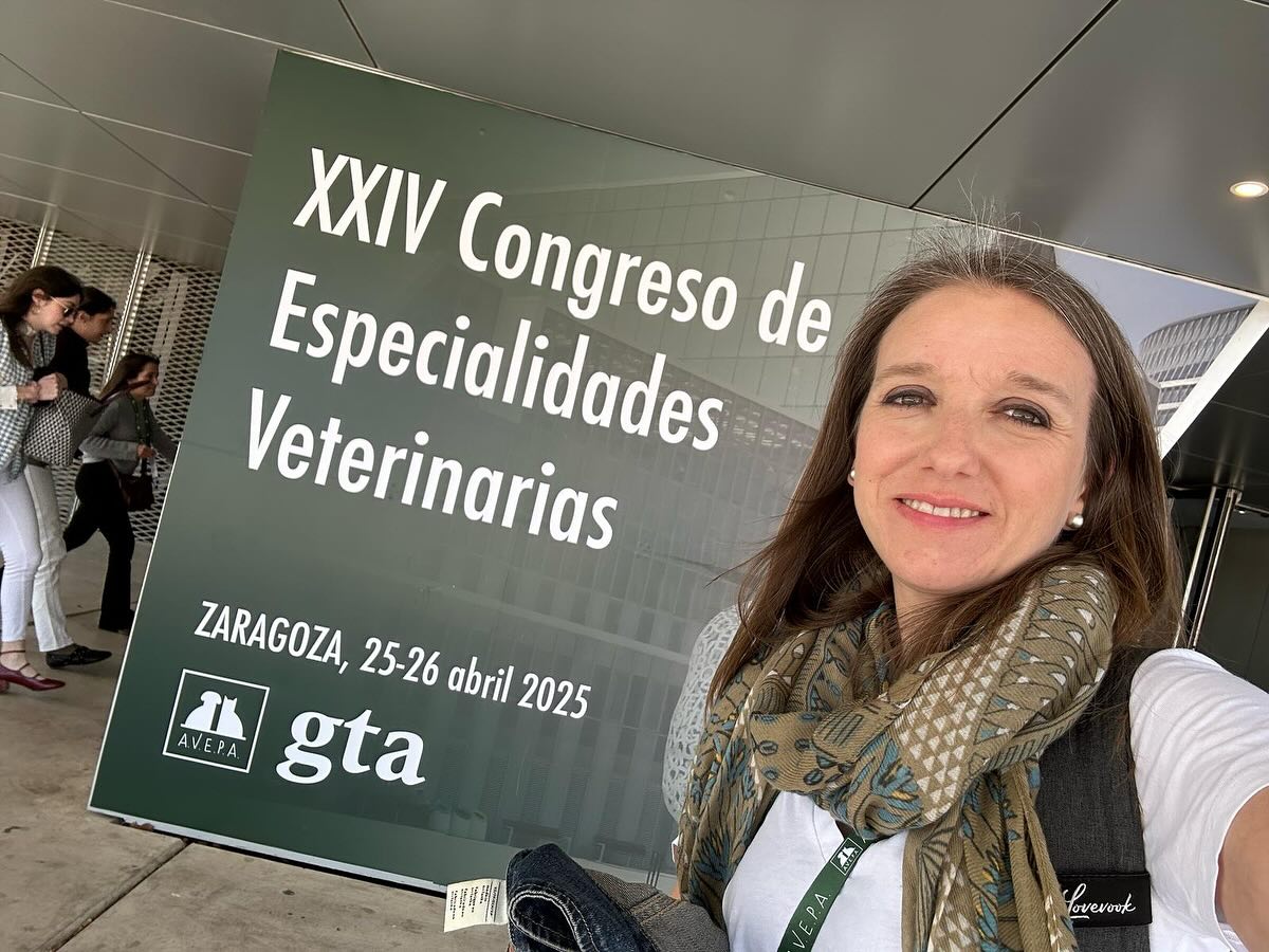 Clinica Veterinaria Vinca | Benalmádena