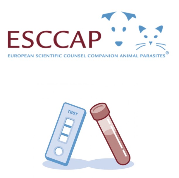 ESCCAP Polska - ESCCAP Polska added a new photo.