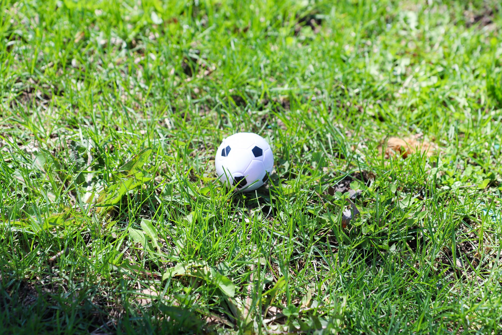 Champaign-Urbana Special Recreation | Champaign IL