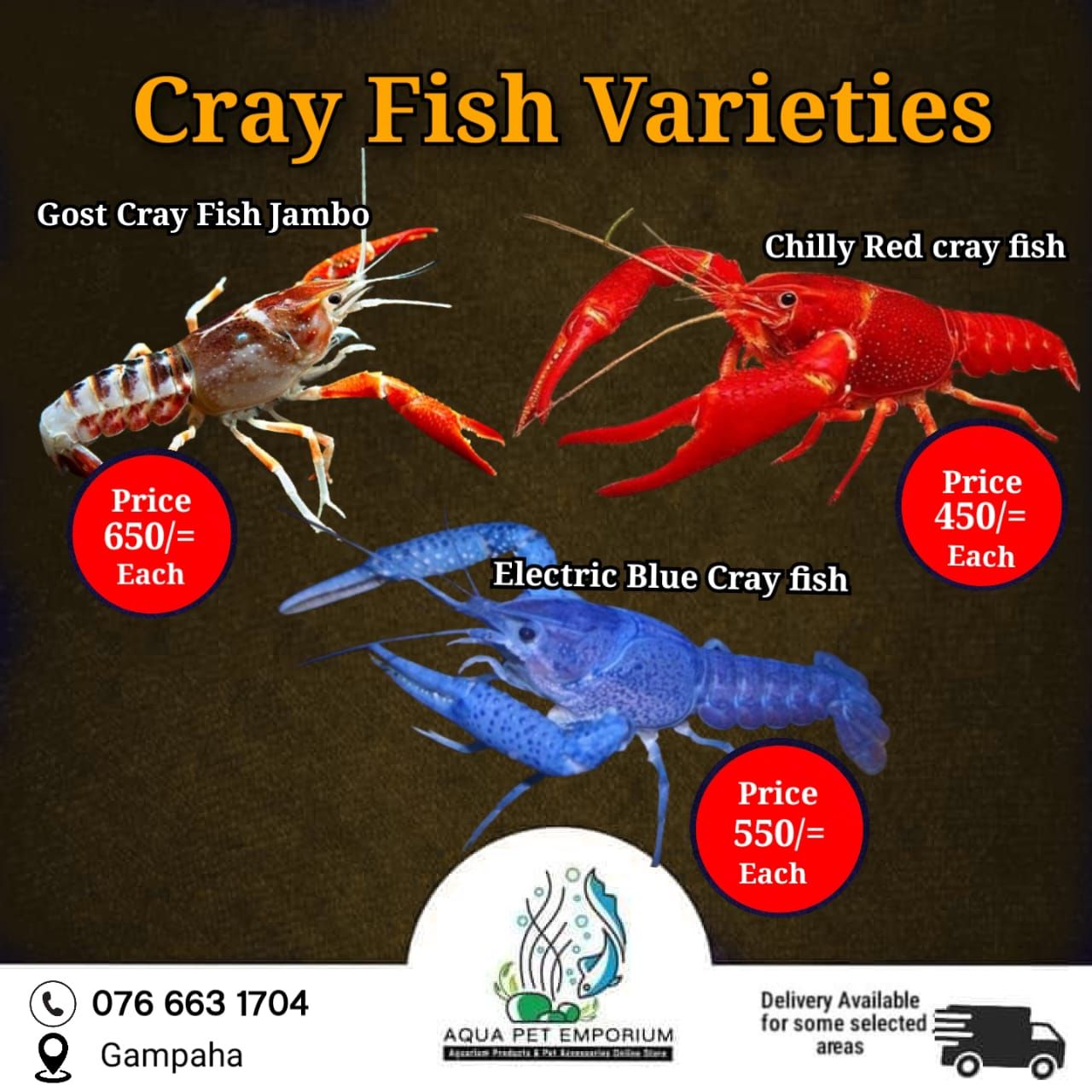 Visual Reference: Male Vs Female Crayfish How To Tell The Difference