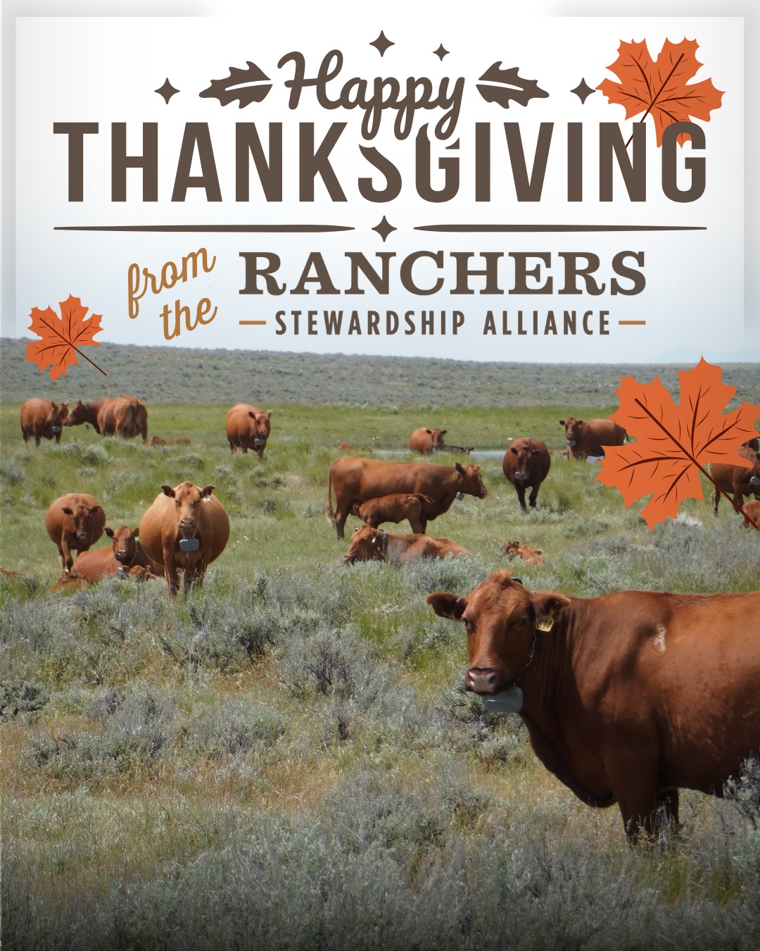 Ranchers - May your prime rib be perfectly medium rare. Wait...is that ...