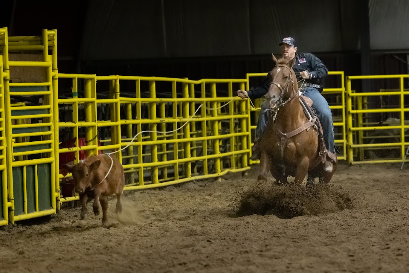 Black Hills State... - Black Hills State University Rodeo