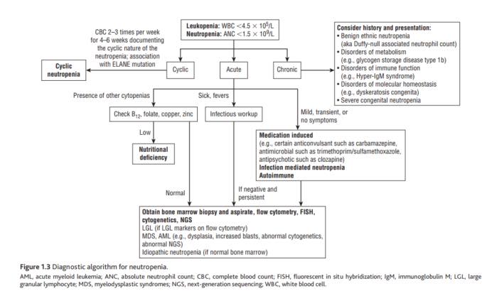 Cardiophilia - Diagnostic Algorithm for Neutropenia 🧮... | Facebook