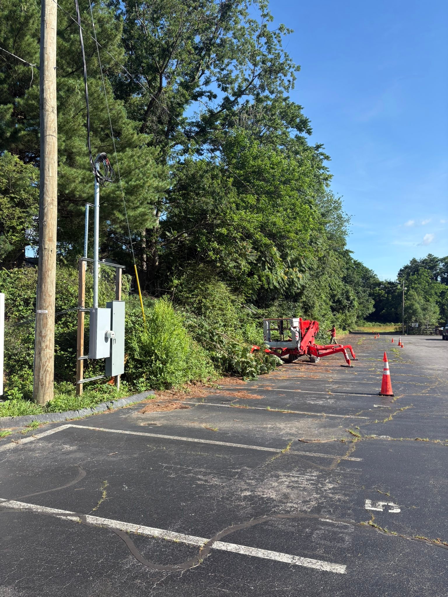 Timber Ridge Tree Service LLC