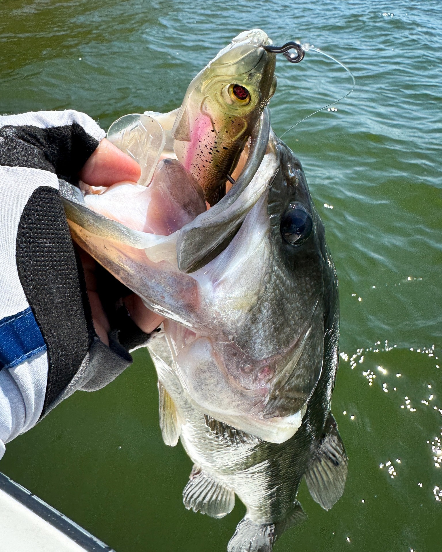 a series plano tackle bag Weekend trikfish Color:pearl white ensuring you have everything Japanese Bamboo Fishing Rod