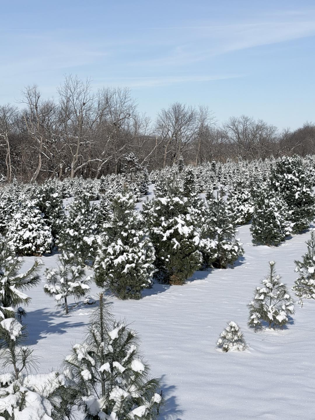 Walnut Ridge Farm | Indianola IA