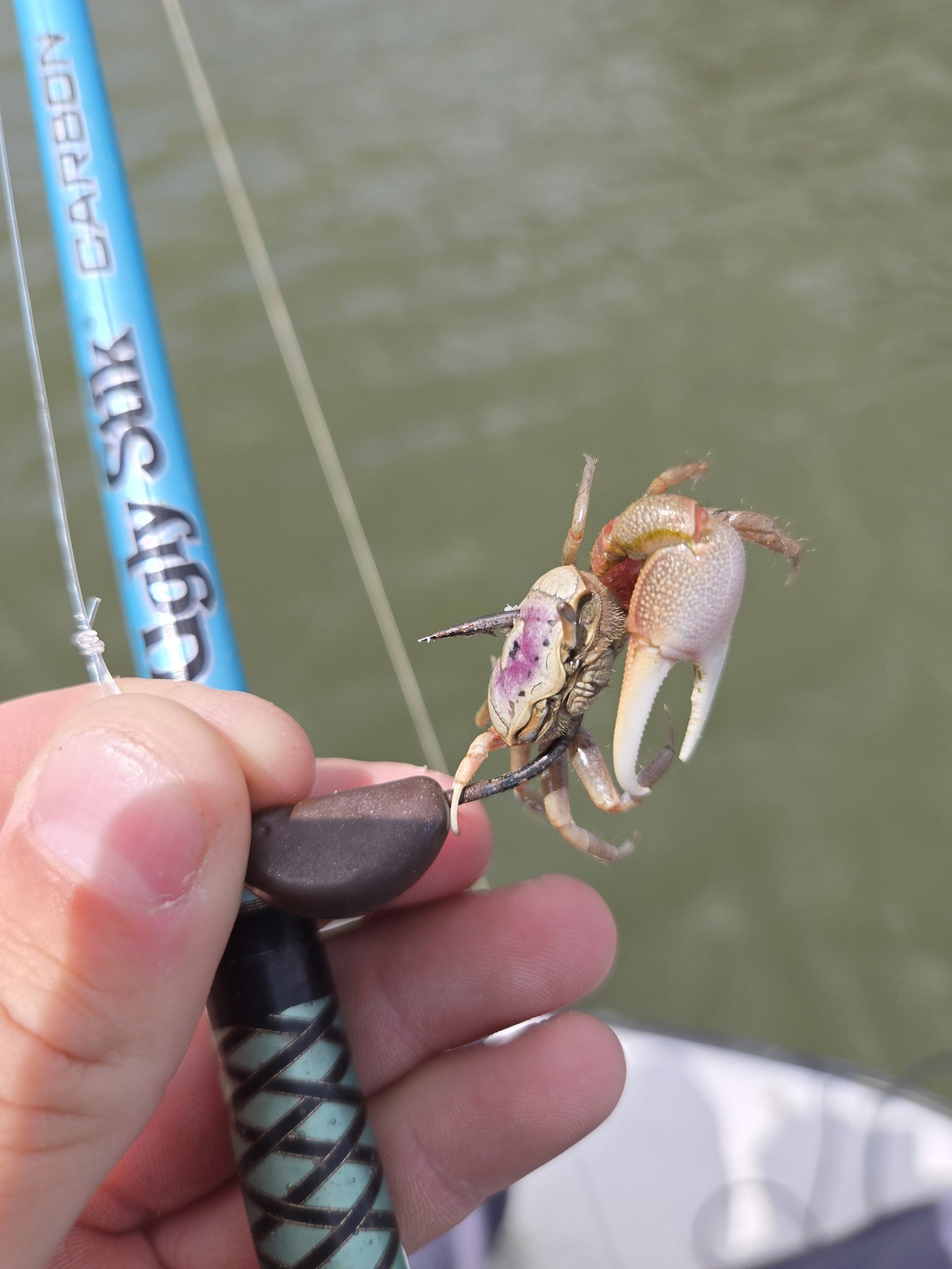 fiddler crab fishing lure Sheepshead Jigs The realistic action and lifelike details are sure to put more fish on the end of your line 2 Easy Ways To Hook