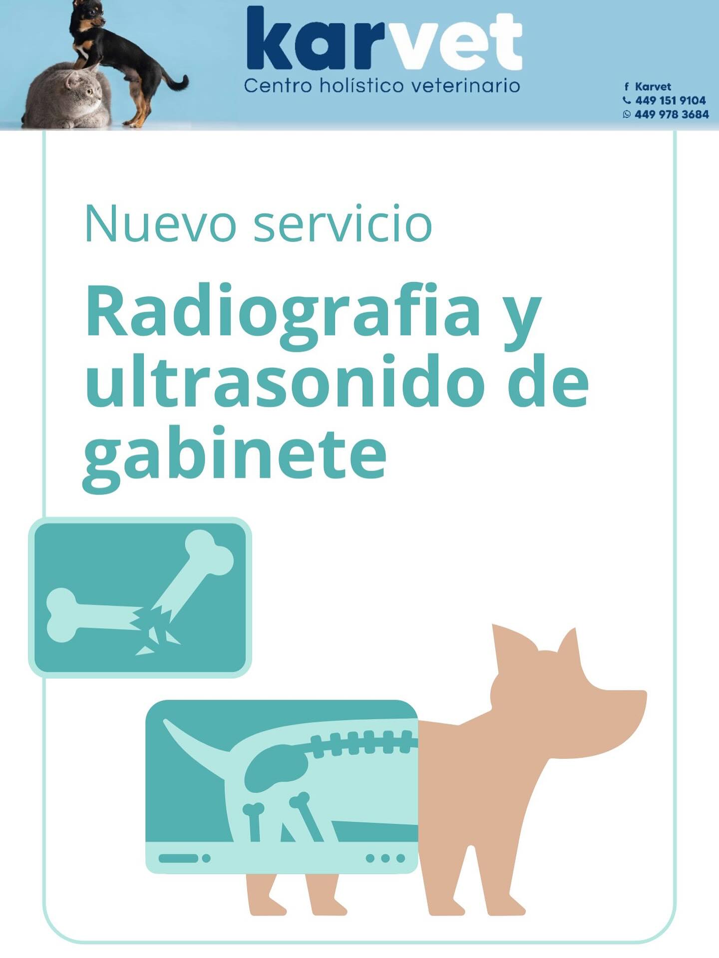Karvet Centro... - Karvet Centro Holistico Veterinario