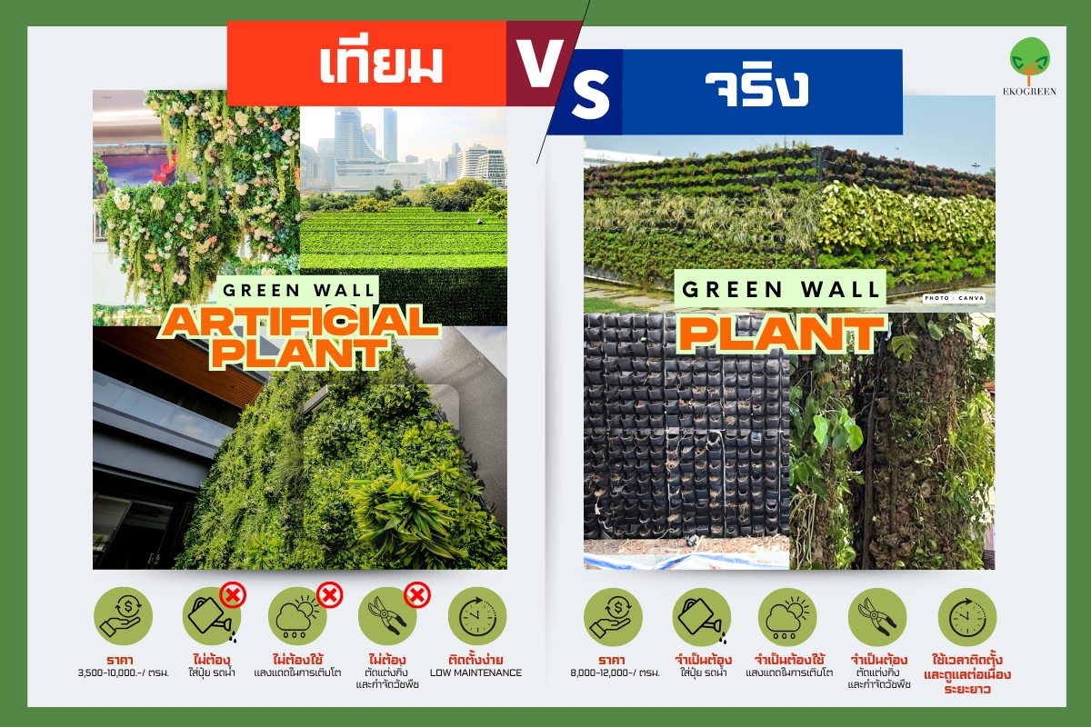 Ekogreen กรีนวอลล์ สวนแนวตั้ง ผนังหญ้าเทียม | Bangkok