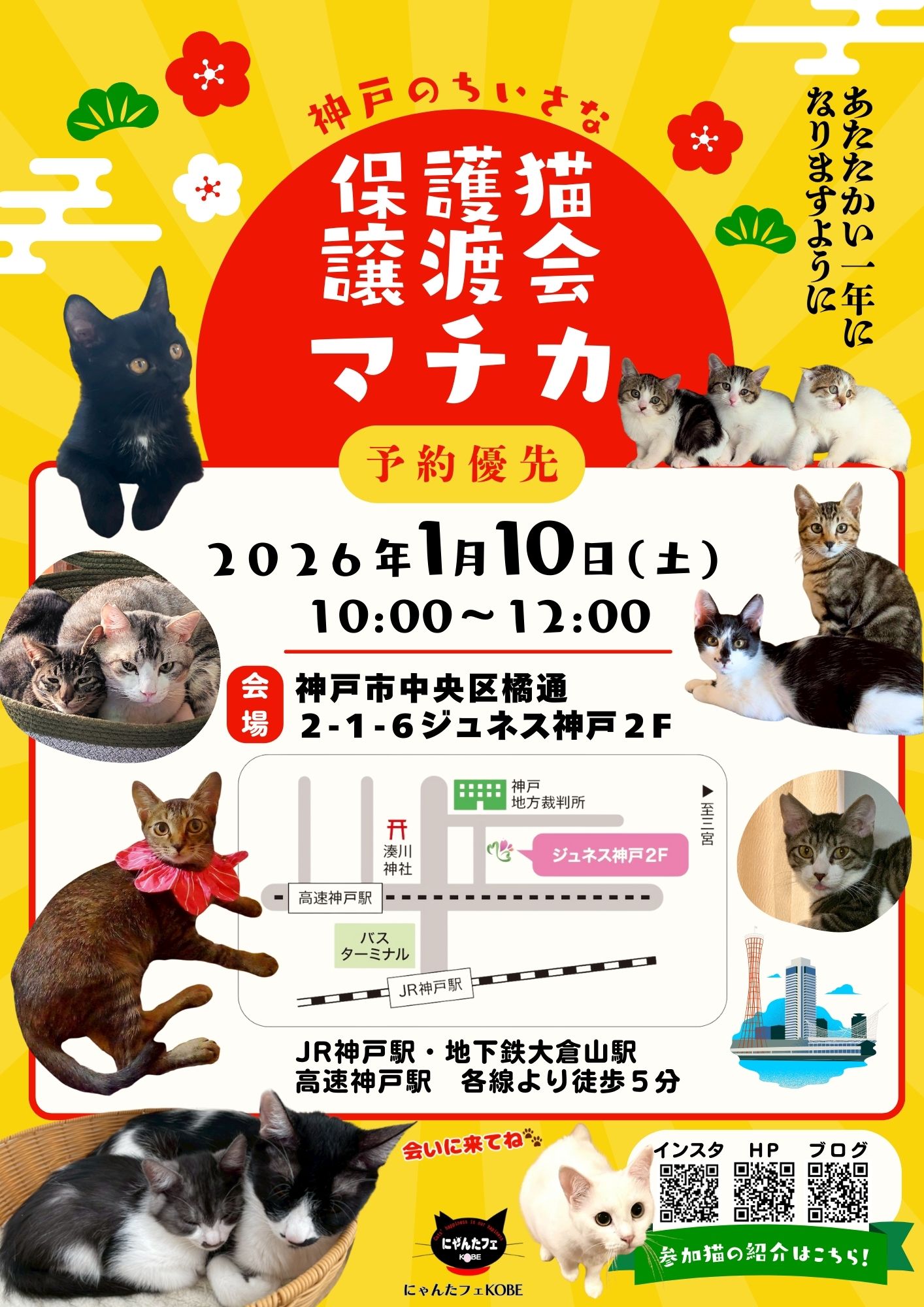 まとめ売り ニャン！様 リクエスト 2点 まとめ商品 にゃんた様