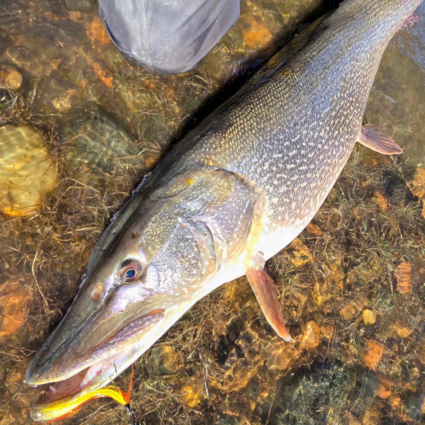 ~ boom ~ What a rush. They say... - Rio Epic Outfitters LLC | Facebook