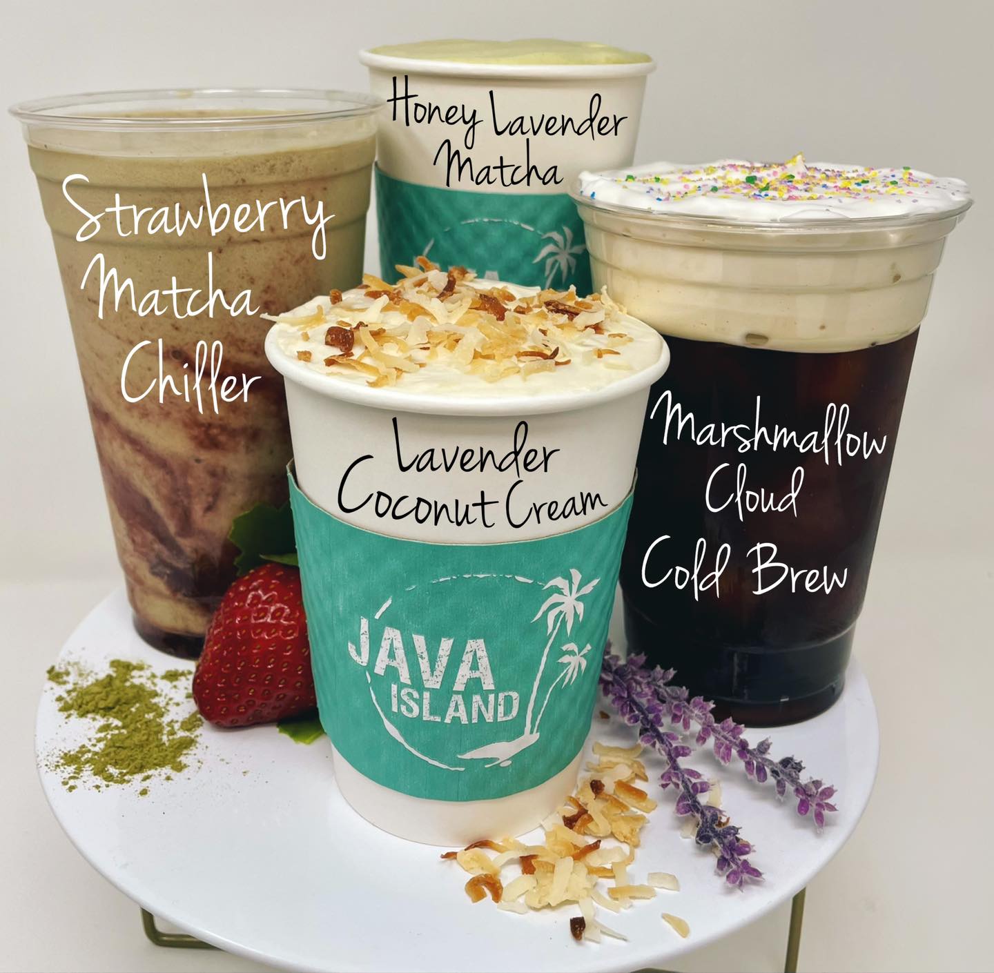 Java Island | Erie CO