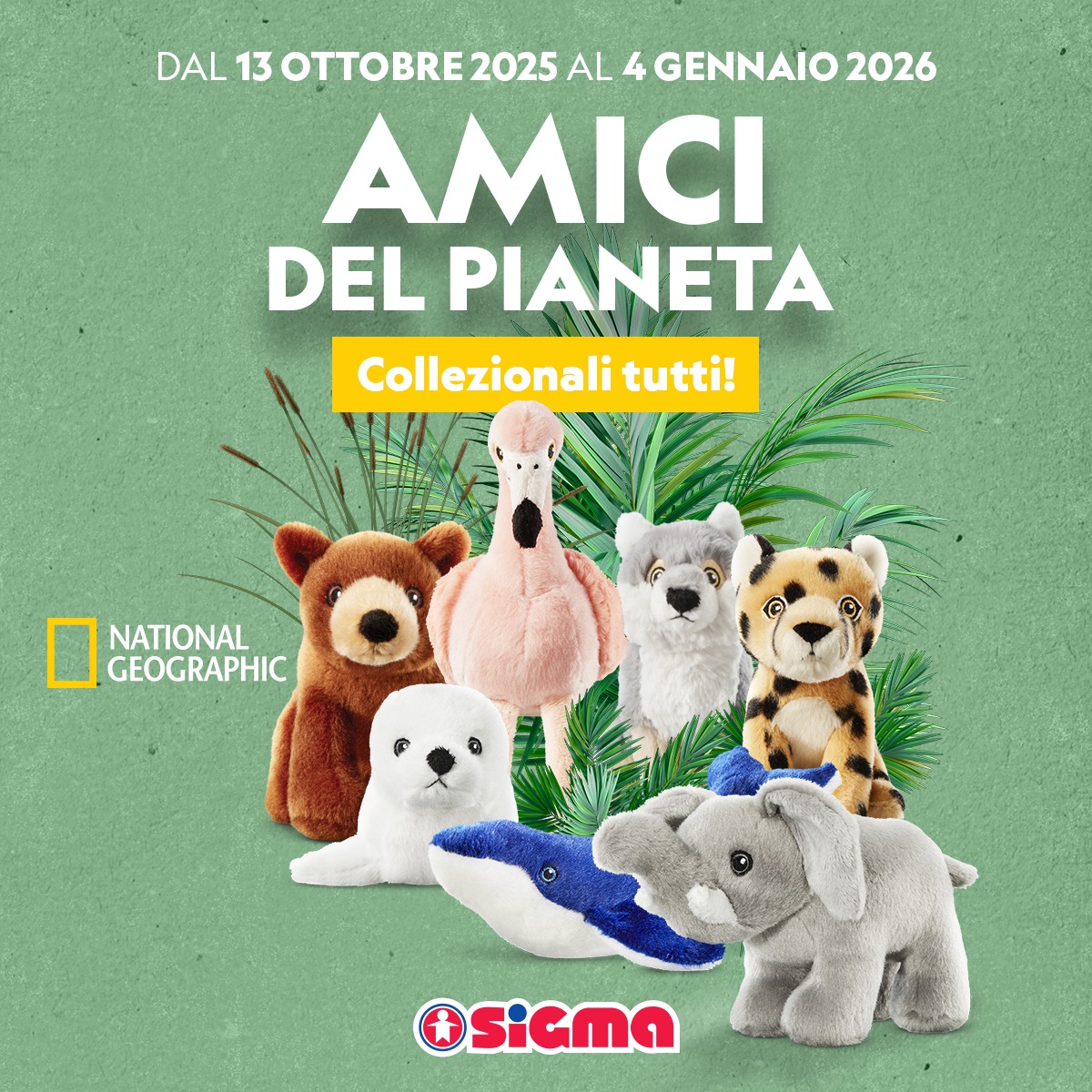 Tanti nuovi amici del pianeta da... - Supermercati Sigma | Facebook