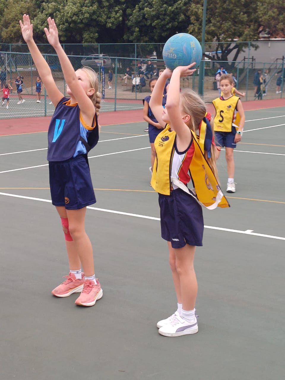 Laerskool Eversdal Primary... - Laerskool Eversdal Primary