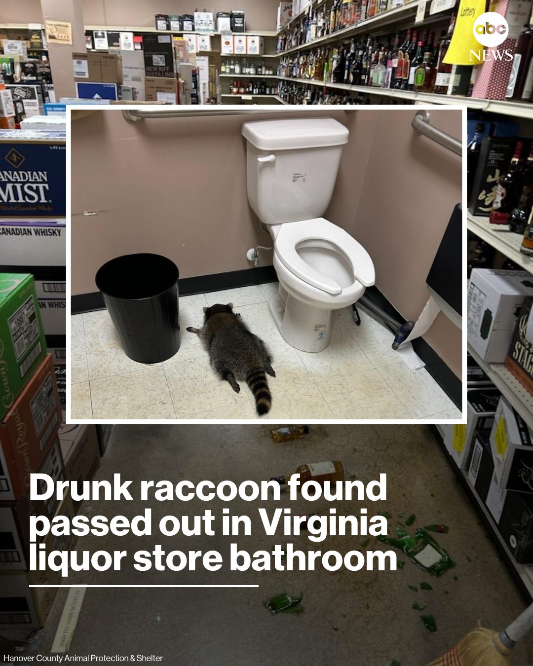 ABC News - A Virginia liquor store had an unusual customer... | Facebook