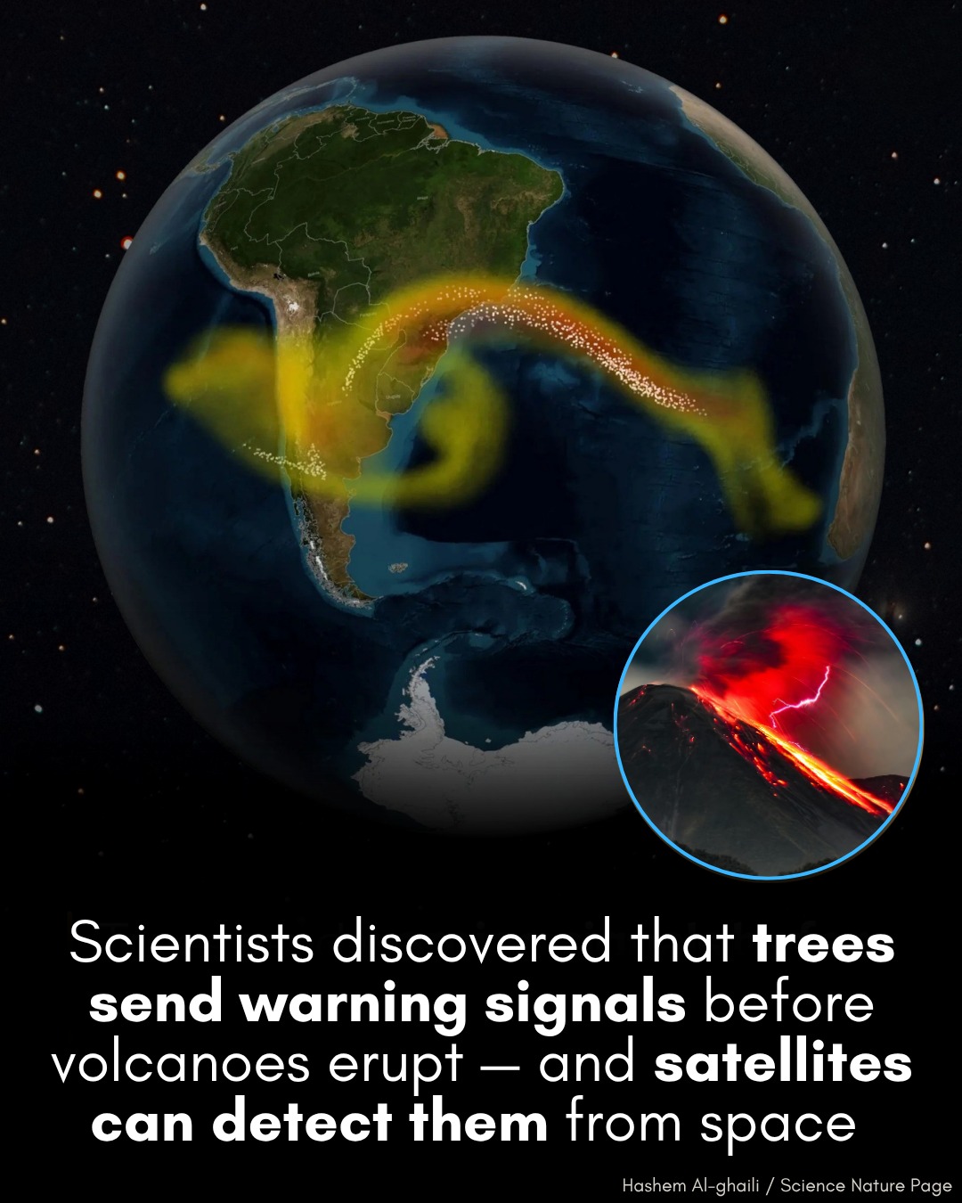 Science Squad | 🚨 Trees around volcanoes can act as communication ...