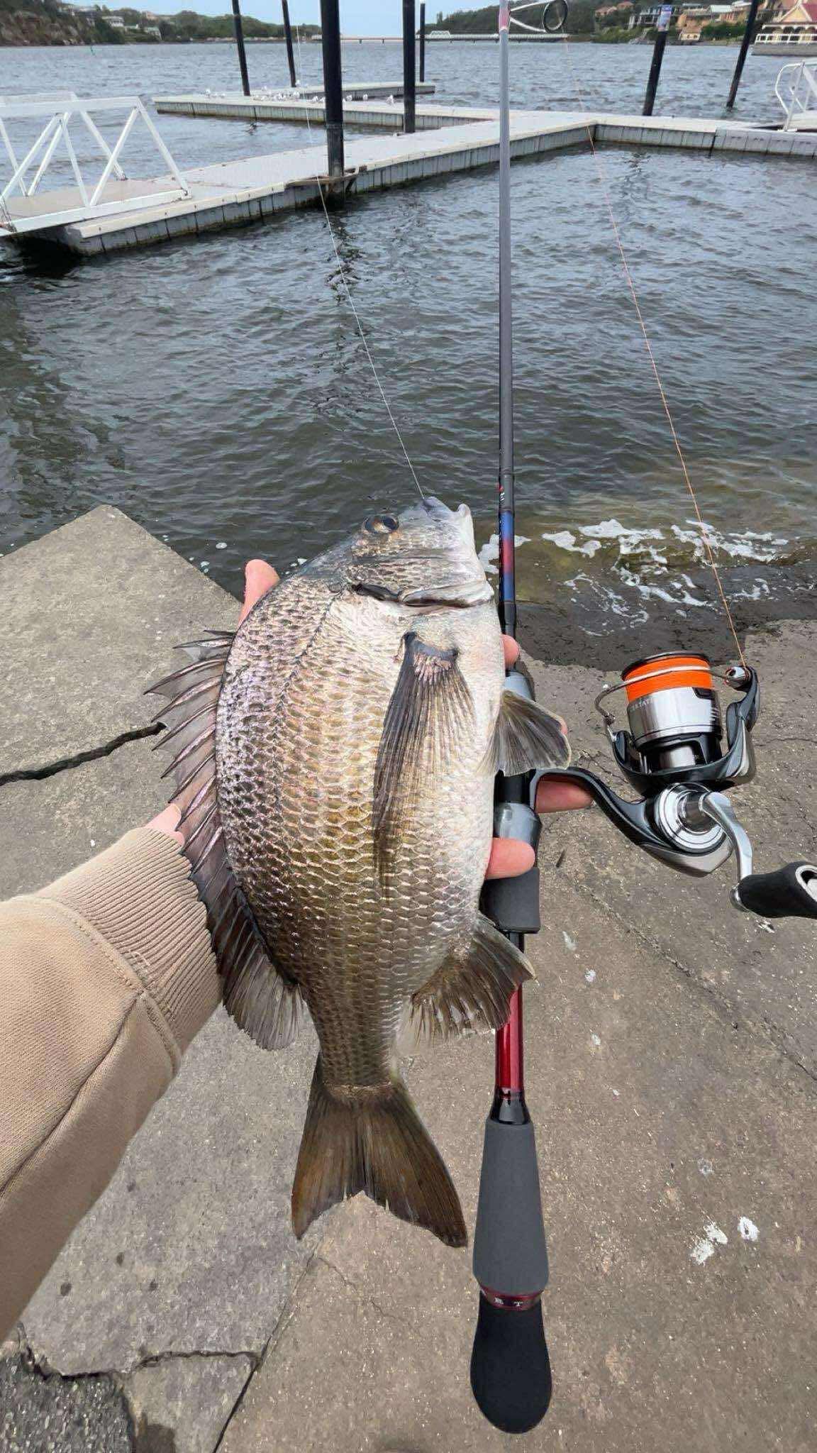 surf fishing rod holder sand spike The Stowaway – Toadfish Saltist 30TH STT30TH (USED, Size:2.5