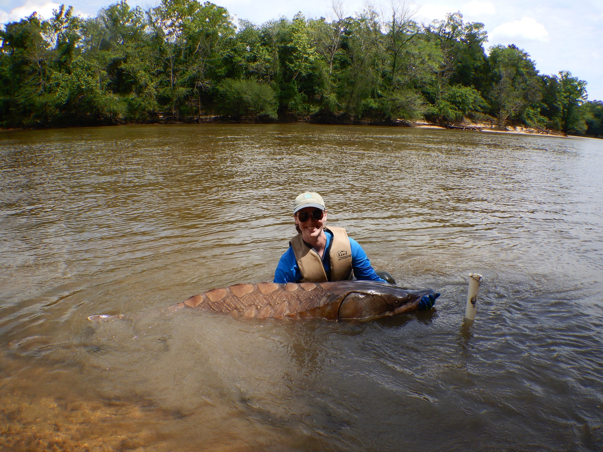 Auburn Fish Biodiversity Lab