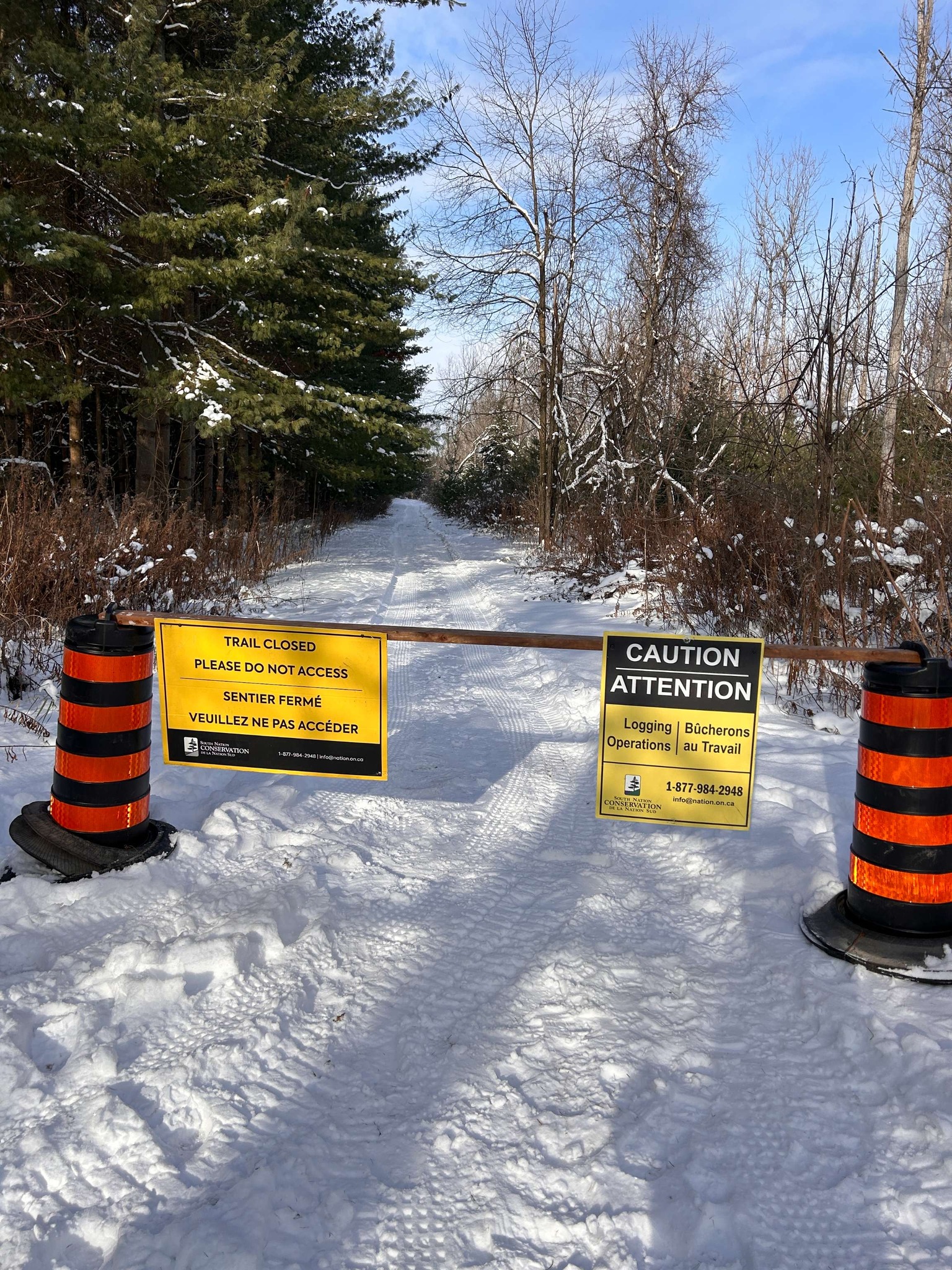 South - Sustainable logging operations will be taking place in December ...