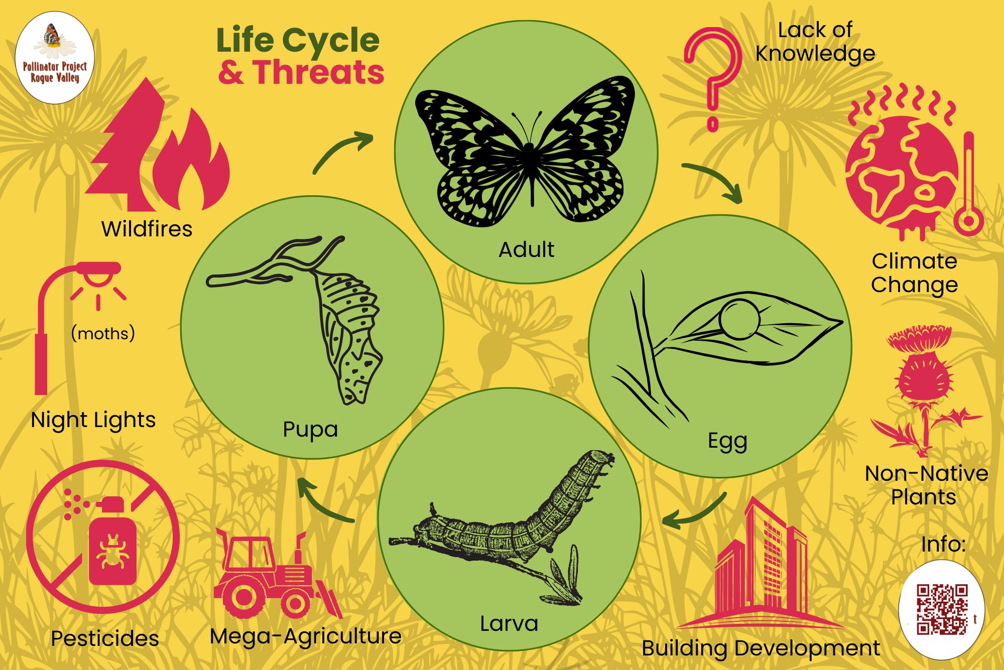 Pollinator - One of the primary drivers for the decline of any species ...