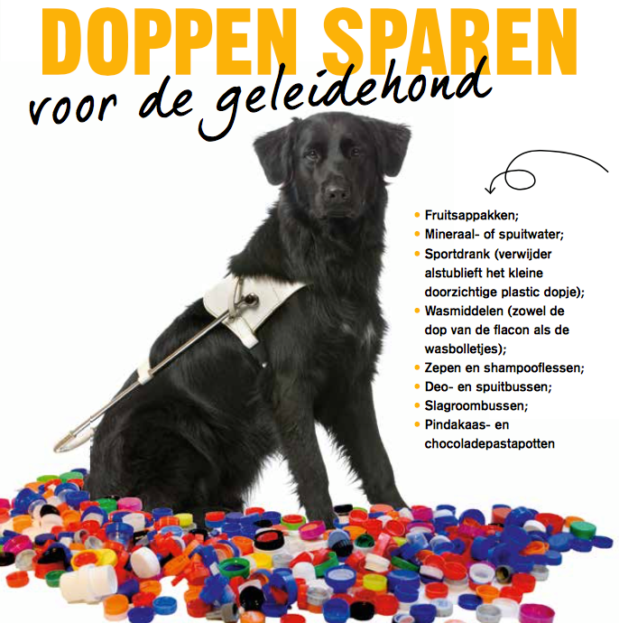 zomermarkt-hoogkerk-hoewel-de-zomermarkt-nog-even-op-zich-laat