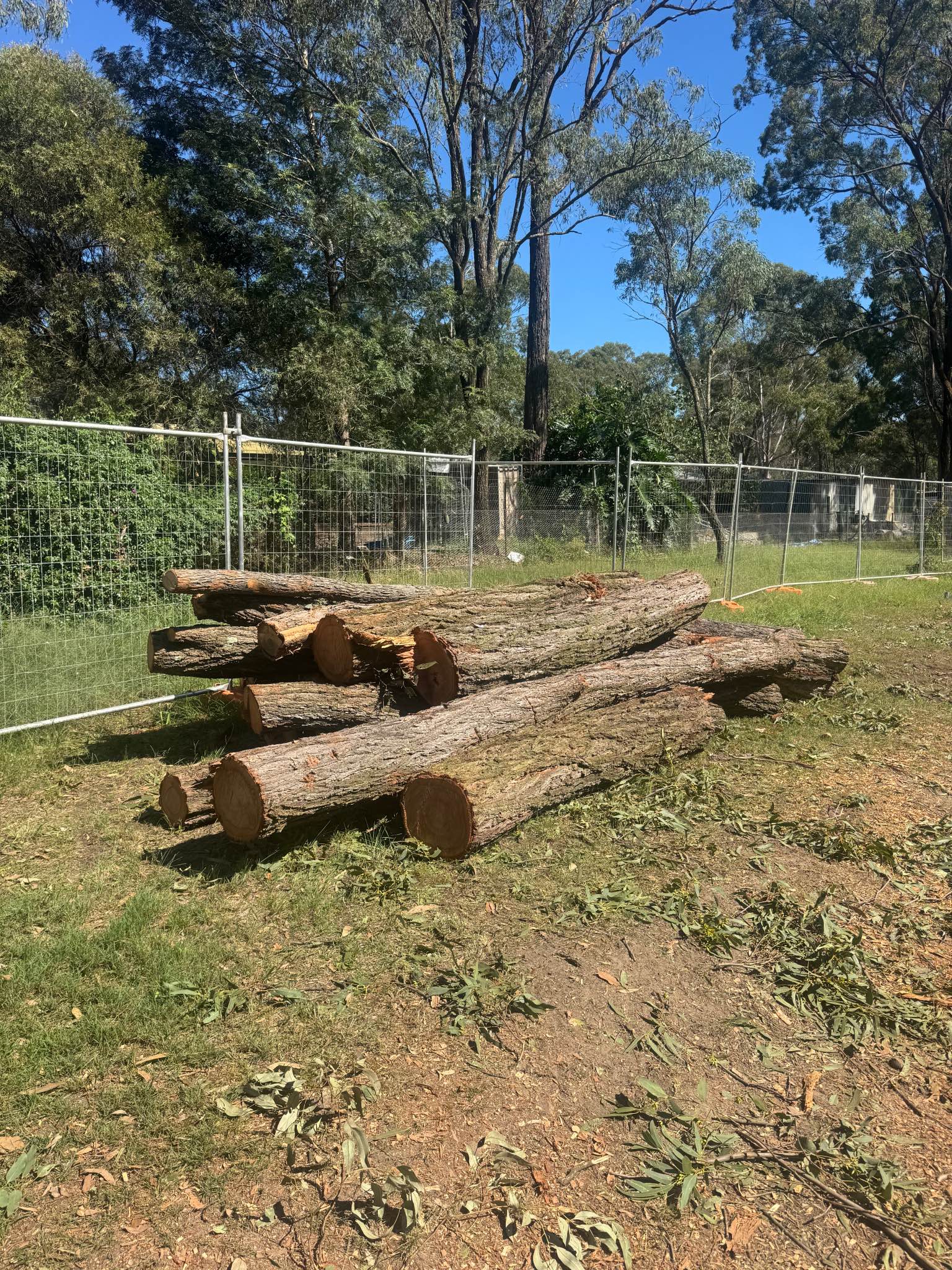 Free Firewood - Miscellaneous - Sydney, Australia | Facebook ...