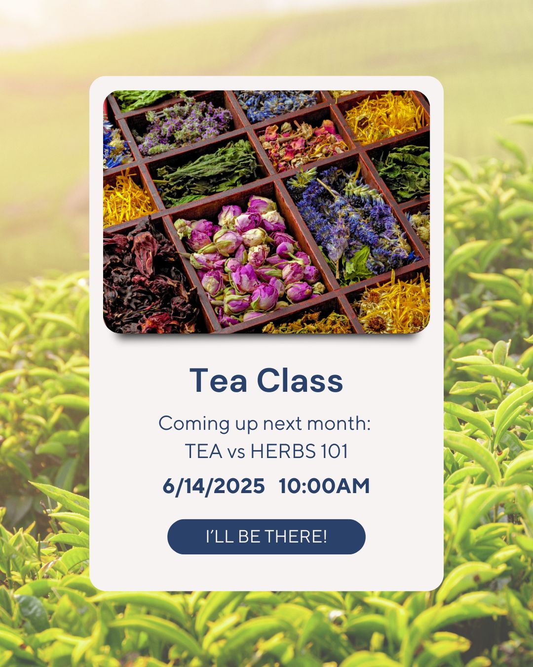 Emilie's - Our popular Tea vs Herbs class, taught by Emilie, is open to ...