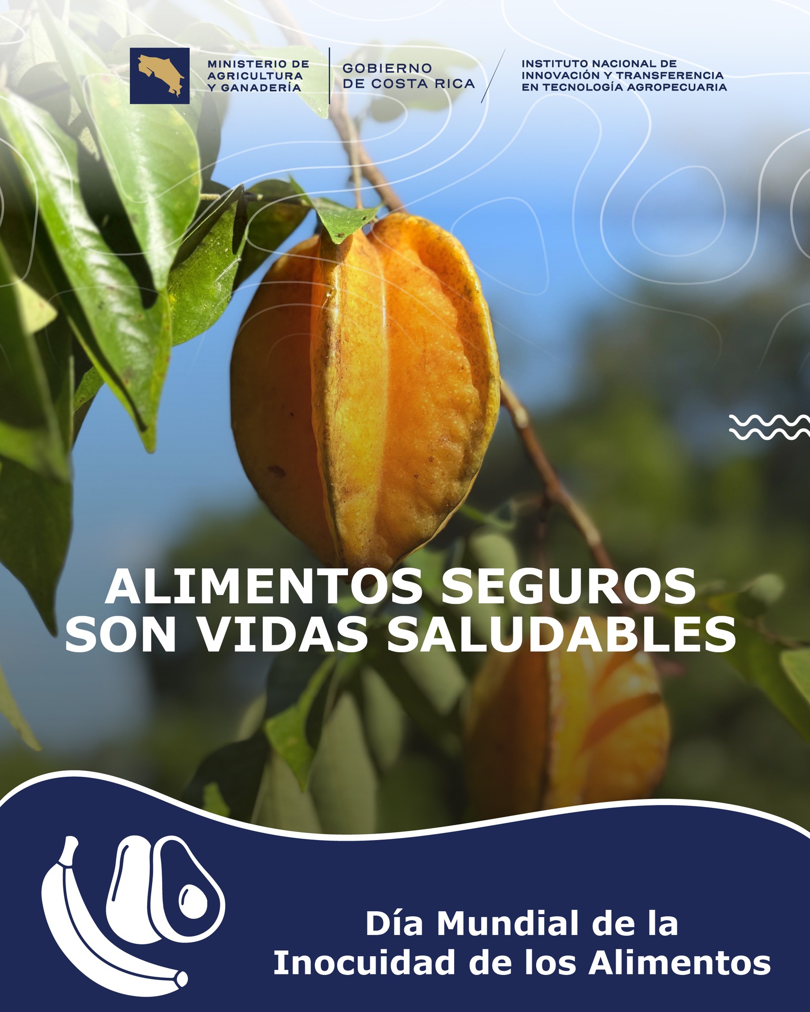 INTA - El INTA trabaja de forma activa en el desarrollo y validación de ...