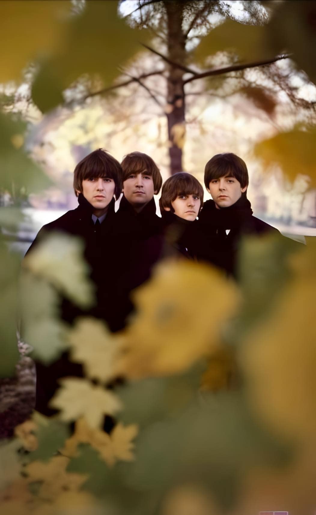 The Beatles in Hyde Park, London, England in the autumn of 1964