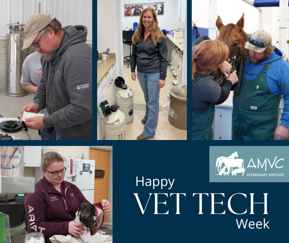 AMVC - Happy Veterinary Technician Week! We are lucky to... | Facebook
