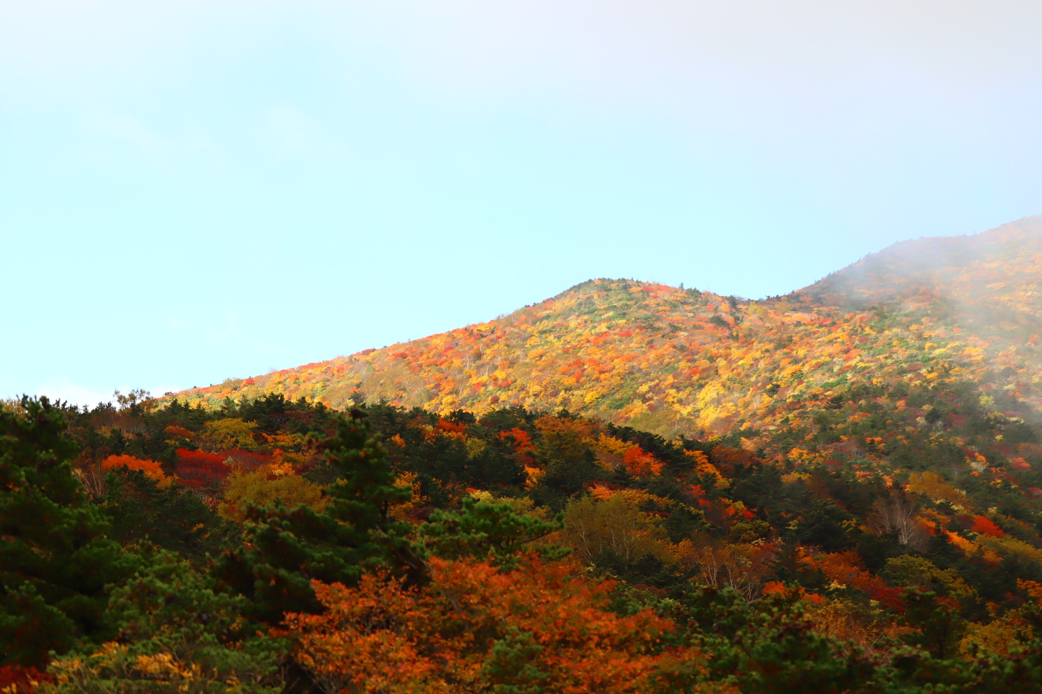 ◇◇ほんとの空と紅葉錦◇◇ 安達太良山の紅葉が見頃を迎えています