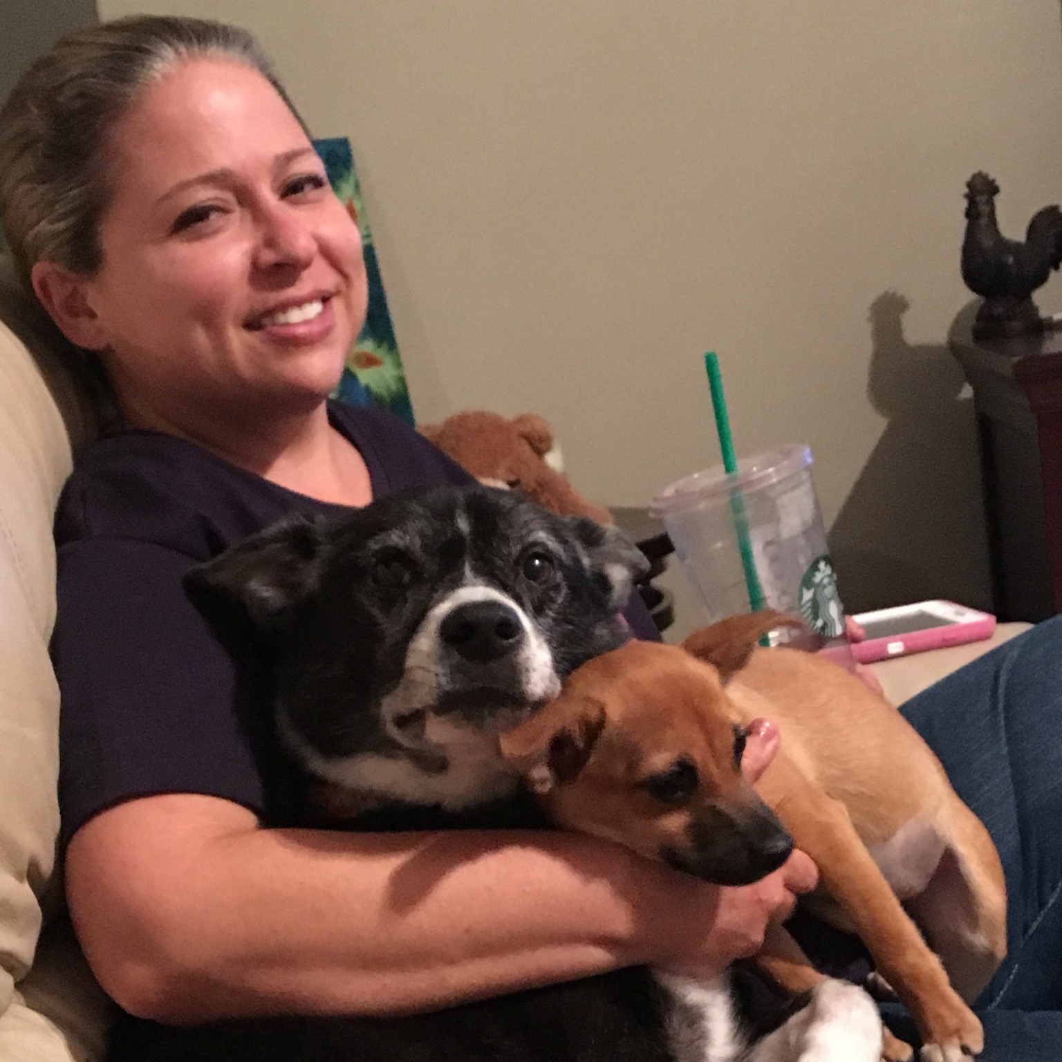 Sandy - Suzy with one of her pups and a foster puppy. | Facebook