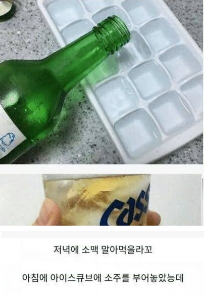 오늘의 불타는 짤 - 여름에 얼음 얼리다 아내한테 맞은 유부남 (댓글에 본문👇)