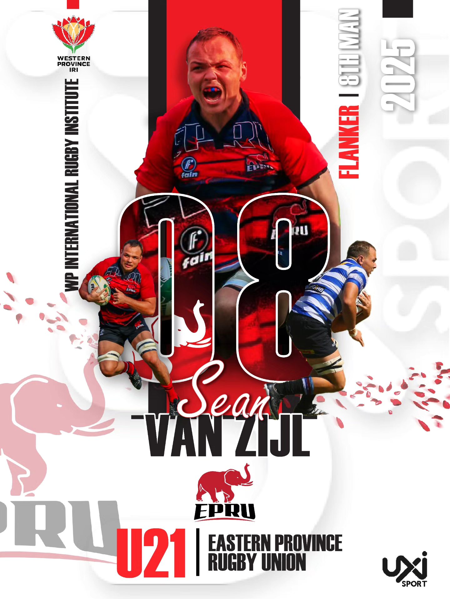 W.P. International... - W.P. International Rugby Institute