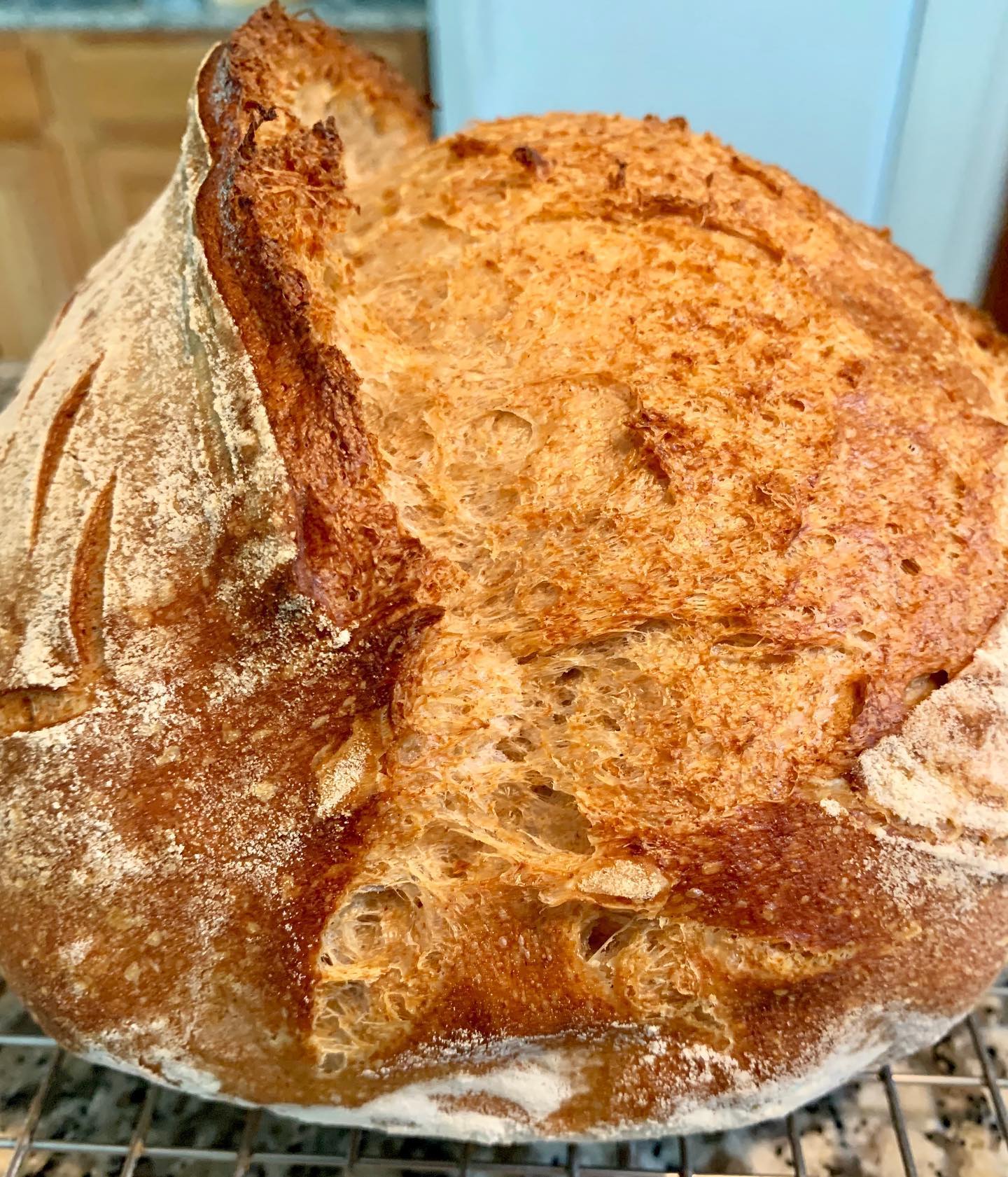 Breadbakedfresh - 🌾🌾 Whole wheat table loaf, beautiful...