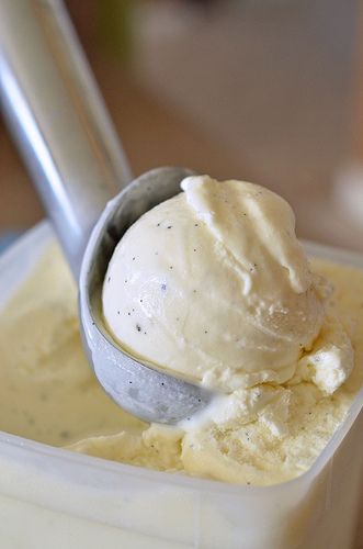 ShopVictual - It's rhubarb season. And, there's no better ice cream to ...