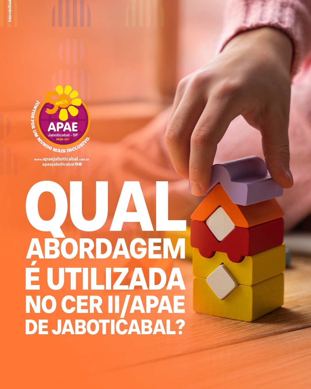 APAE - 💡Qual abordagem é utilizada no CER II/APAE de Jaboticabal? 🔎 ...