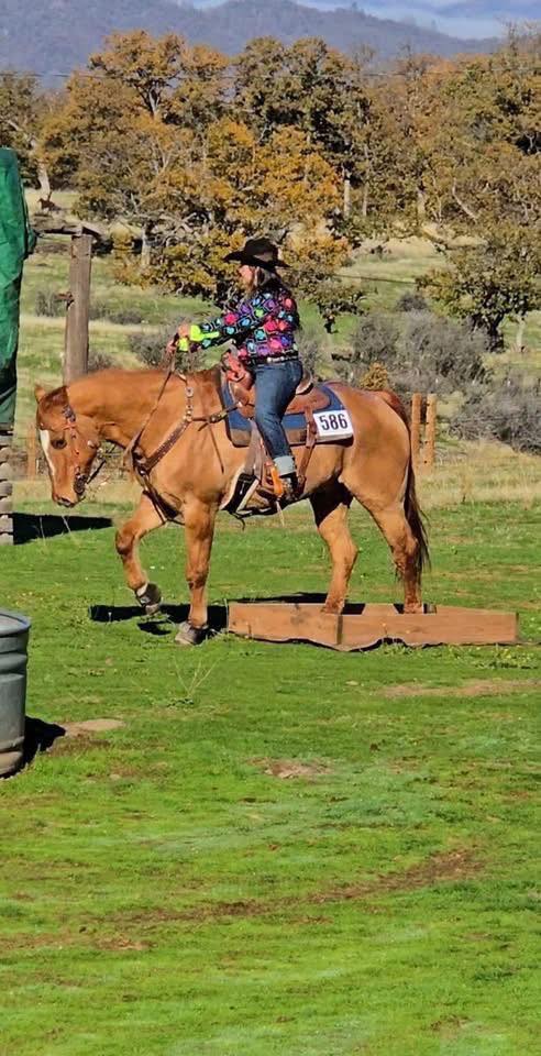 Welcome Ranch - Welcome Ranch added a new photo.