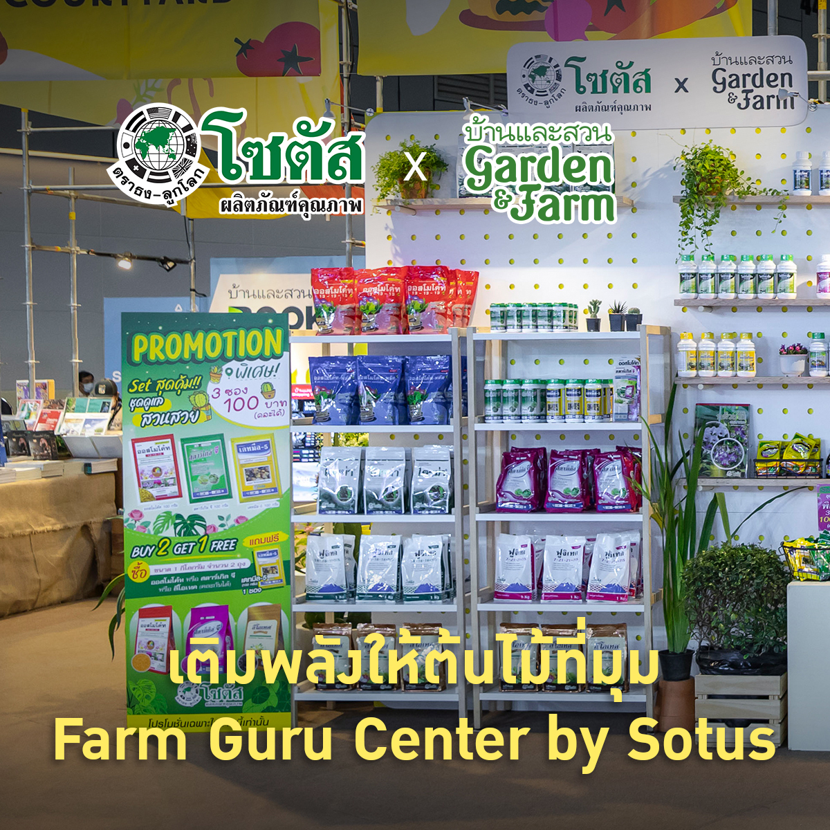 บ้านและสวน Garden & Farm - ข้าวหอมใบเตย มหาสารคาม นครสวรรค์ แถบภาคเหนือ ...