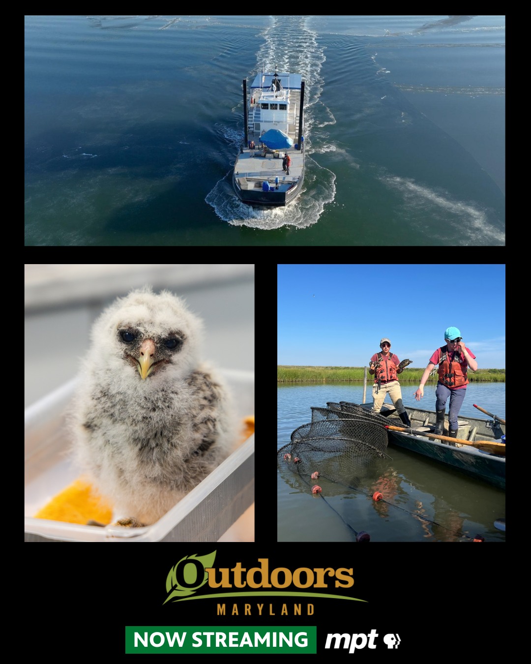 Maryland - Spend a frigid winter day aboard a Department of Natural ...
