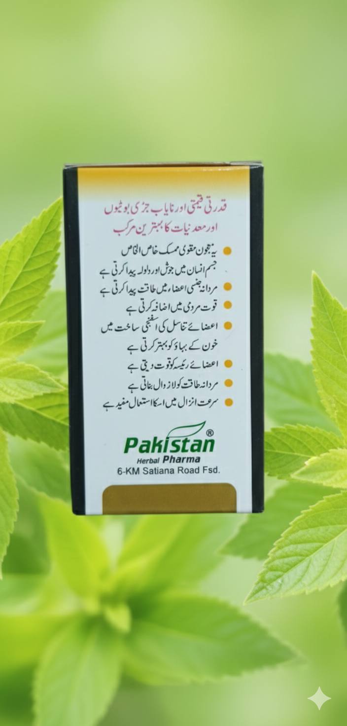 Mohammad Mohsin Rasheed