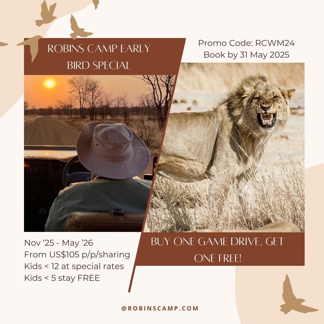 Robins - 🦁 WILD ADVENTURE ALERT! 🌿 ROBINS CAMP EARLY BIRD SPECIAL: BUY ...