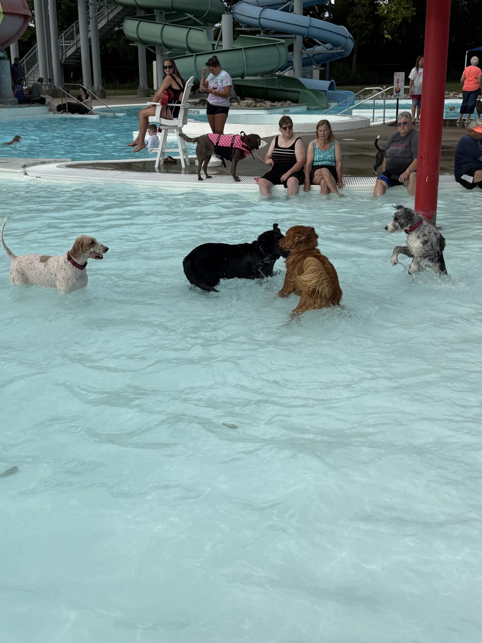 Splash Zone Waterpark | Springfield OH