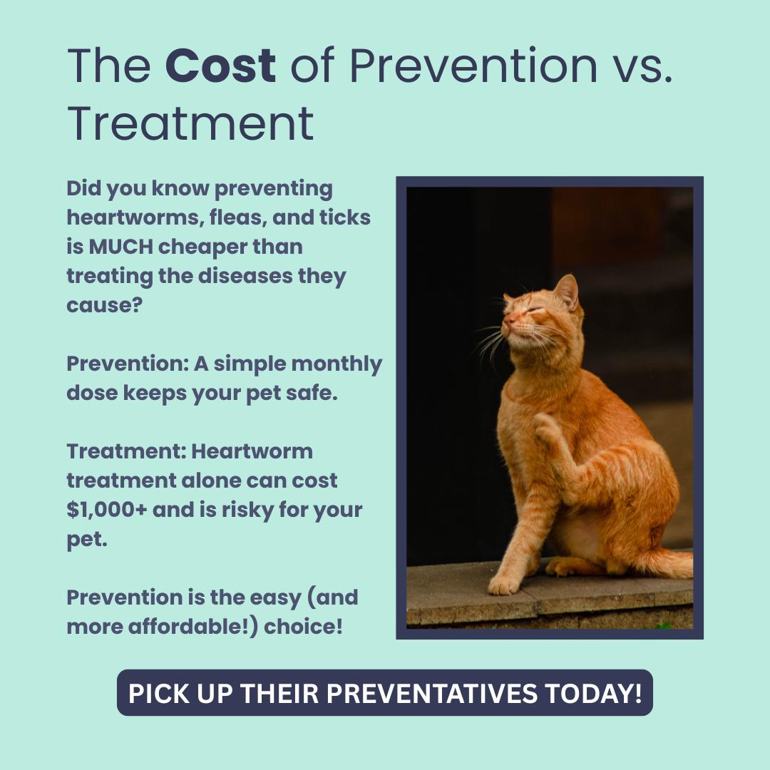 Hutchinson - Prevention is a small price to pay compared to the cost of ... - Low-Cost Flea And Tick Prevention Methods