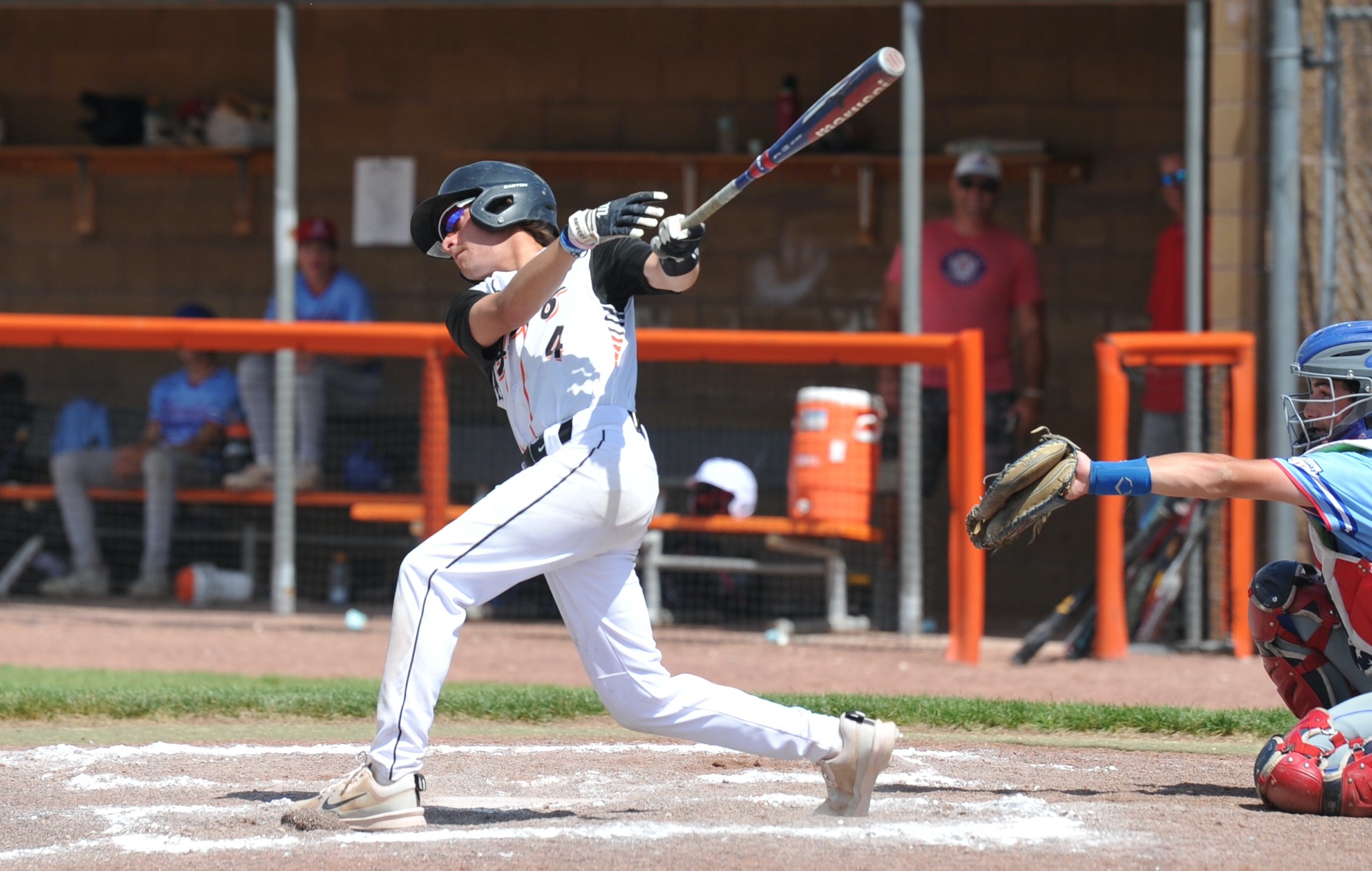 Torrington Tigers Baseball