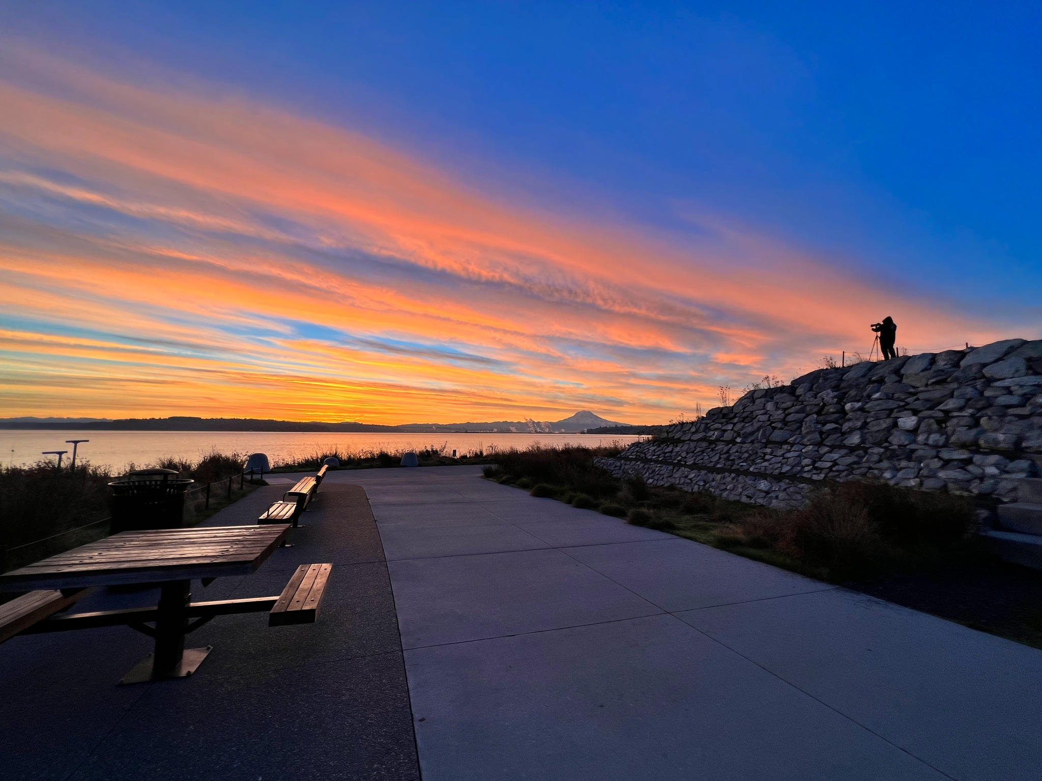 Point Defiance Park | Tacoma WA
