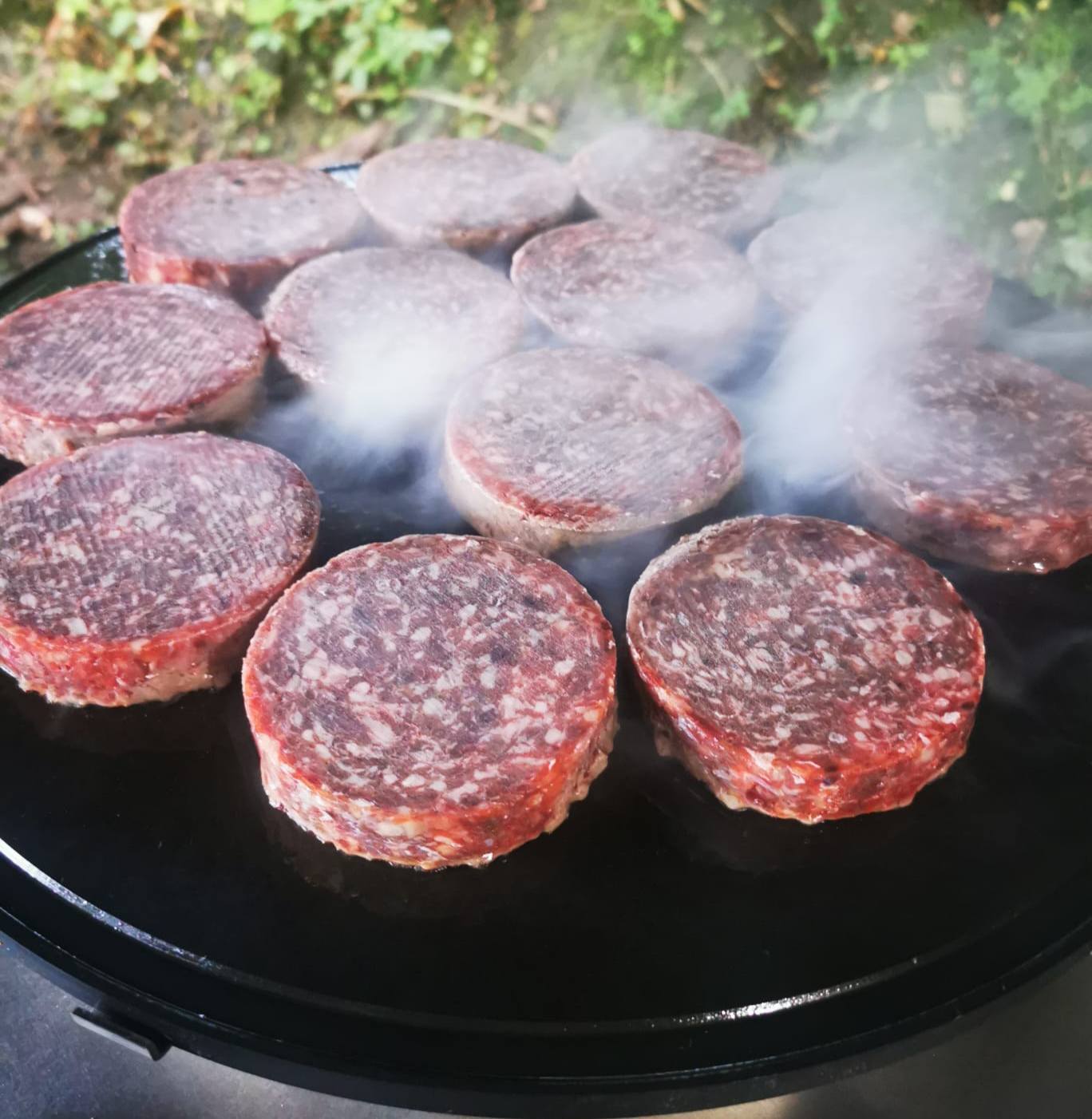 Zwerg Zebu Rind vom... - Zwerg Zebu Rind vom Gutshof Original