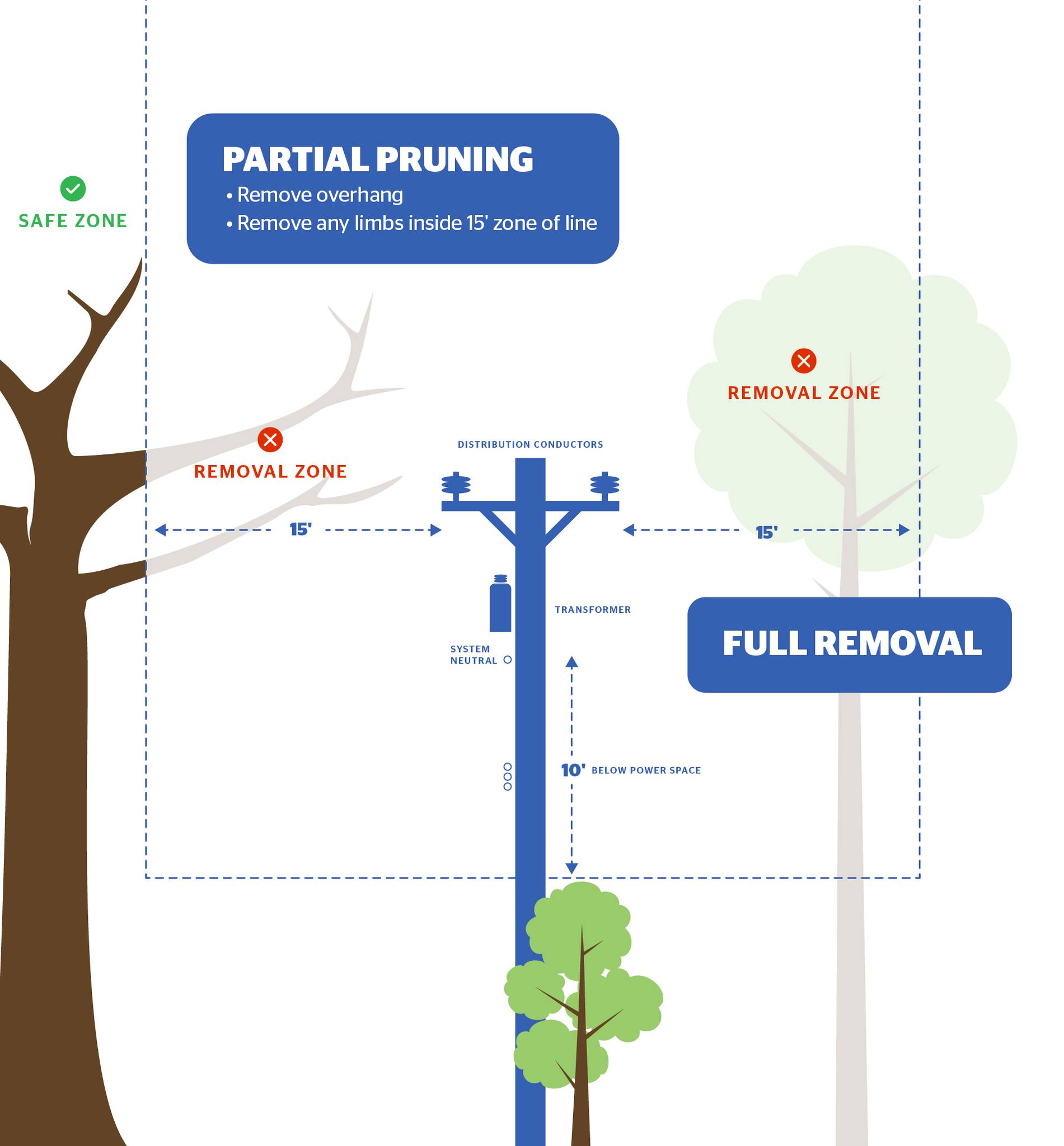 psegli distributed system implementation plan dsip Nashville Electric Service updates tree trimming for reliability CAT Stable Gastric Pentadecapeptide BPC Vial size:10mg