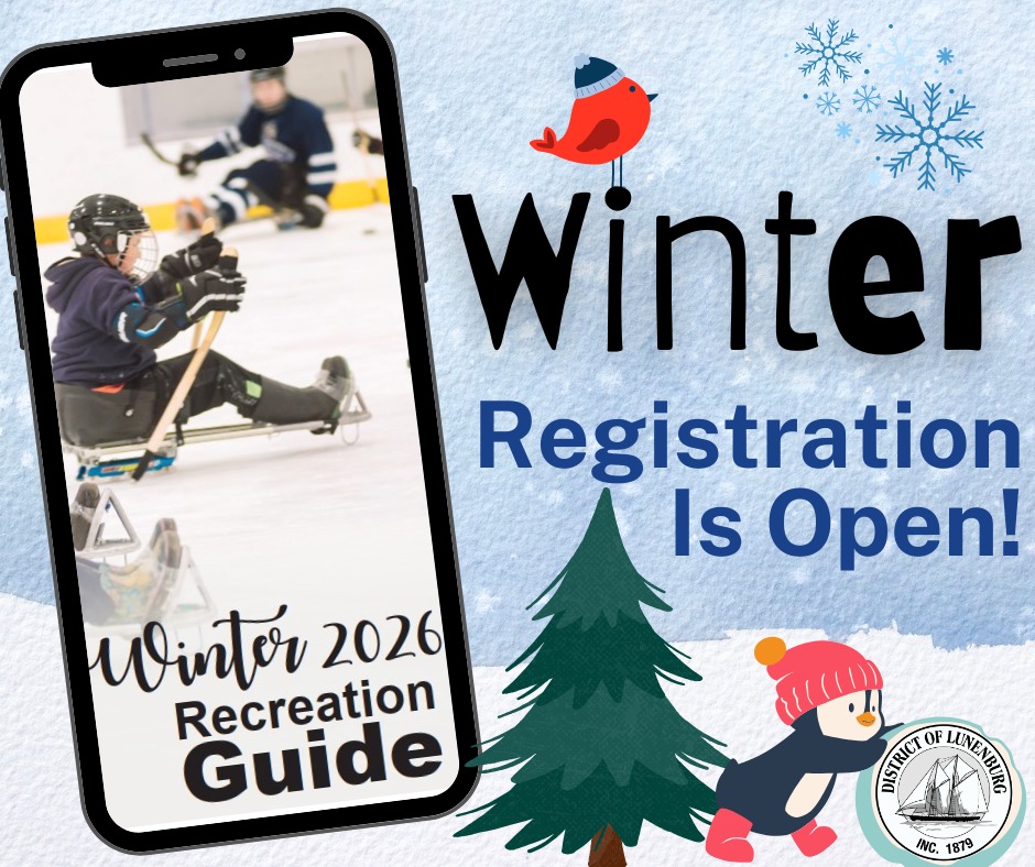 District - ⛄🥌 Winter 2026 Recreation Guide ⛸🧣🐧 The 2026 Winter ...