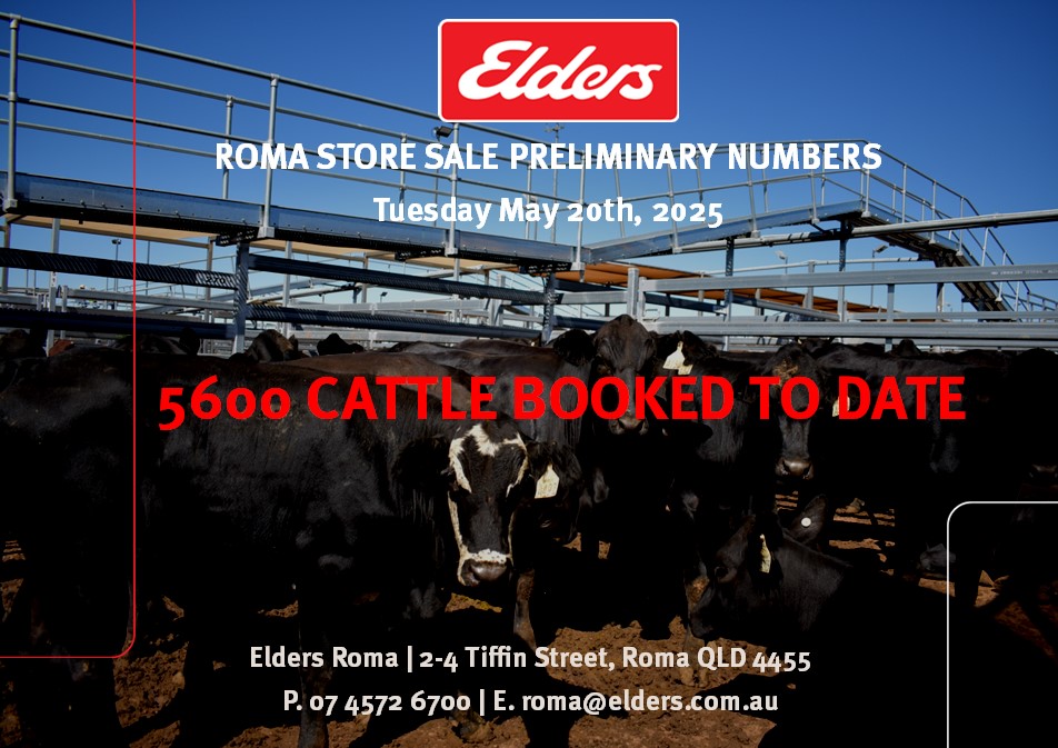 Elders Roma - Elders Roma (Roma) added a new photo.